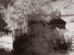 ir stag shed duotone