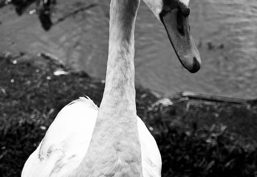 20100517 DSC 0757 as Smart Object 1