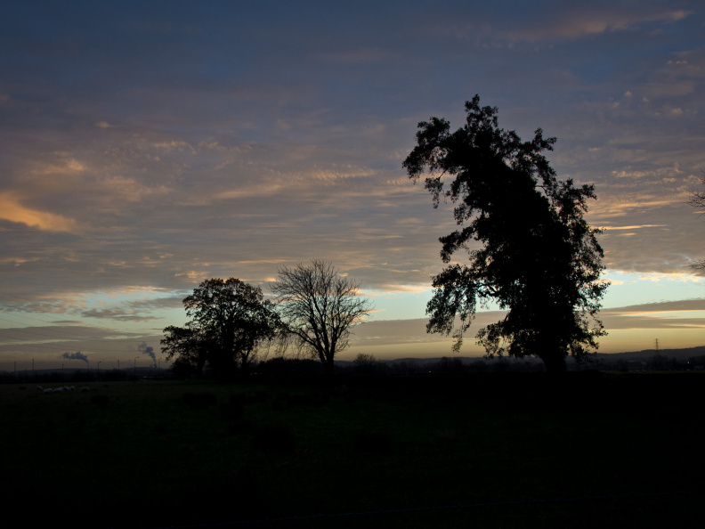 20131128 DSC 8016 1000