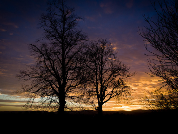 20131128 DSC 8017 1000