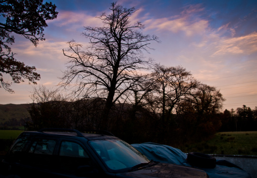 20131128 DSC 8019 1000