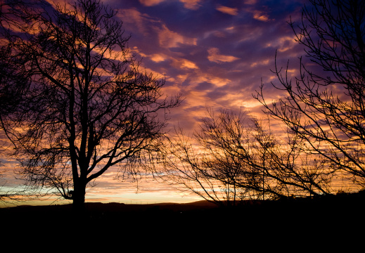 20131128 DSC 8021 1000