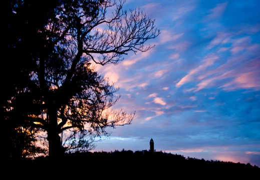 20131128 DSC 8023 1000