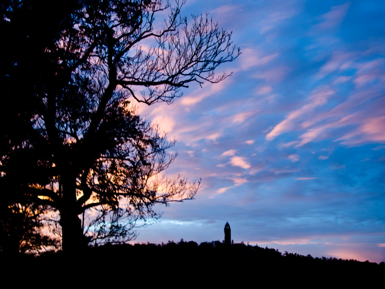 20131128 DSC 8023 1000