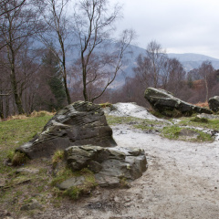 20140308 DSC 8907 1000