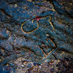 20140308 DSC 8911 1000