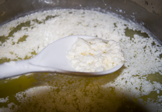 20140318 DSC 8982 1000