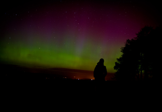 20150417 DSC 2374 1000