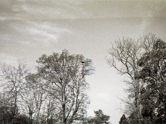 20171101 OM40 trix 007 1000