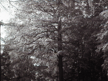 20171101 OM40 trix 015 1000