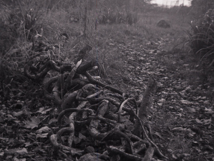 20171101 OM40 trix 016 1000