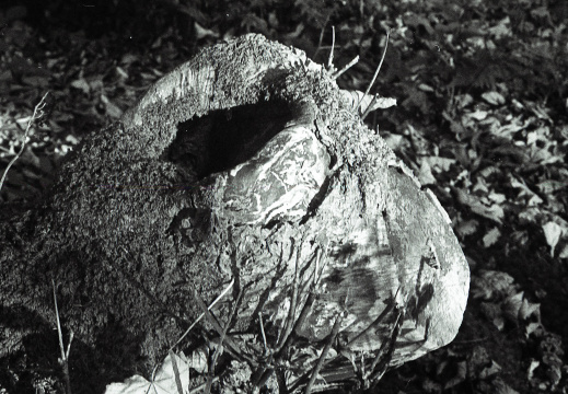 20171101 OM40 trix 022 1000