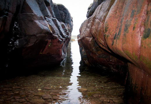 20140919 DSC 1084 1000