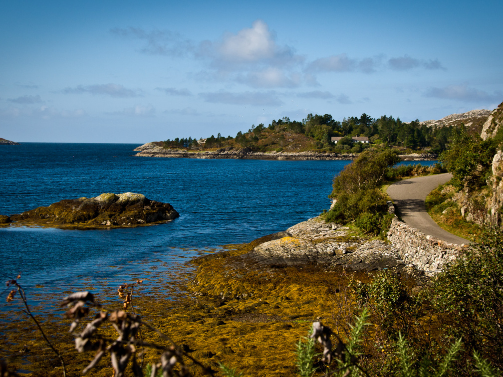 20140920 DSC 1115 1000