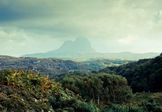 20140920 DSC 1126 1000