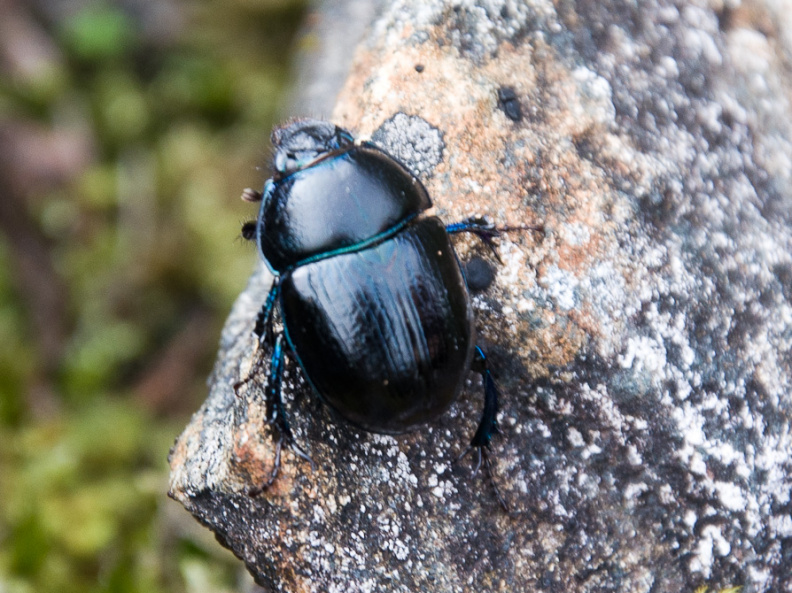 20140920 DSC 1136 1000