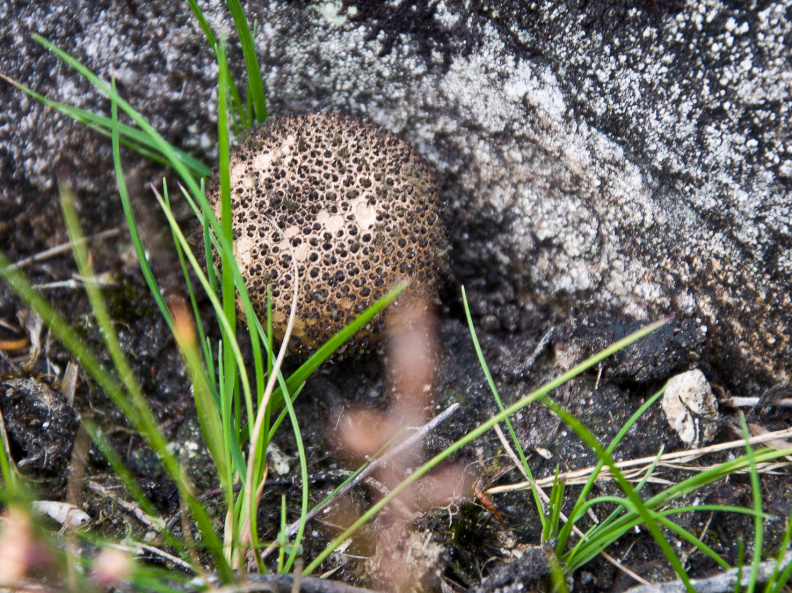 20140920 DSC 1141 1000