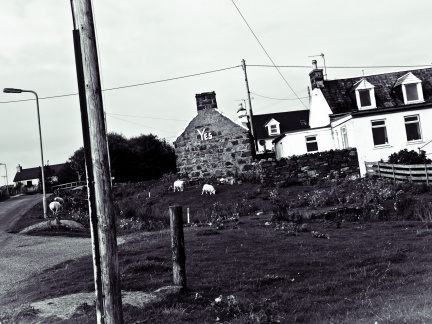 20140920 DSC 1182 1000