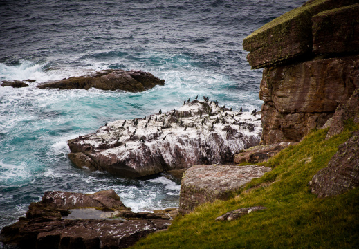 20140920 DSC 1215 1000