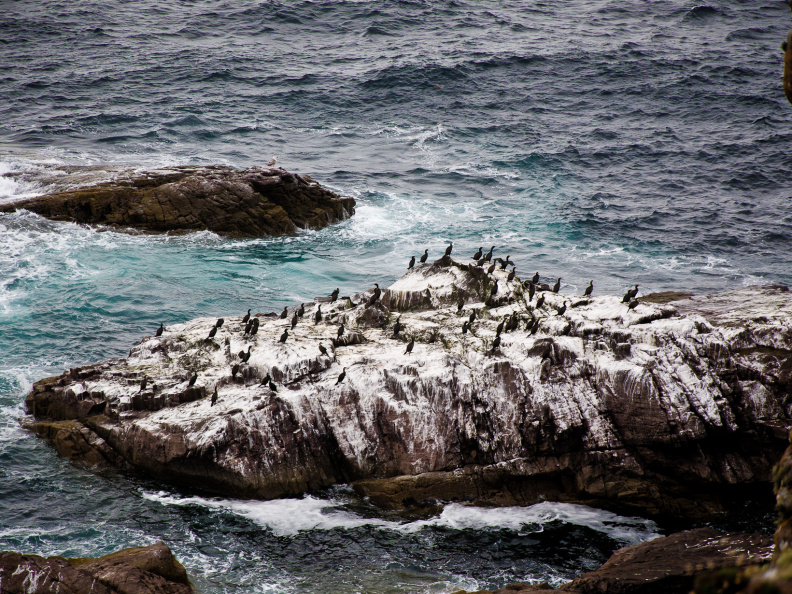 20140920 DSC 1216 1000