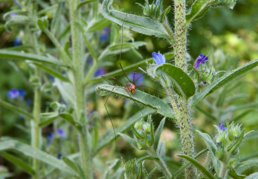 20140611 DSC 9227 1000