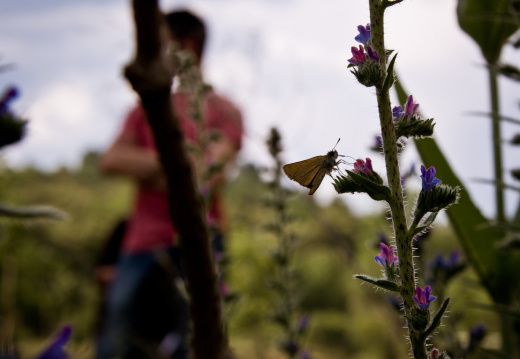 20140611 DSC 9228 1000