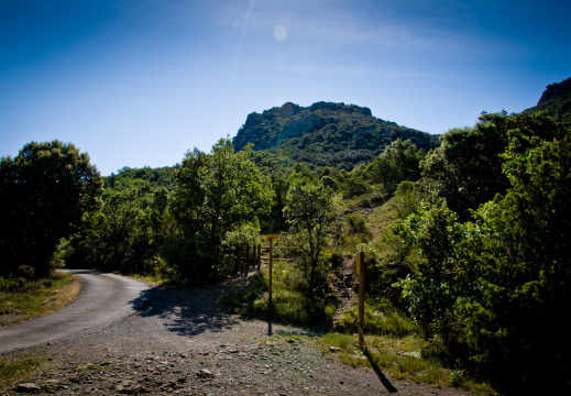 20140613 DSC 9409 1000