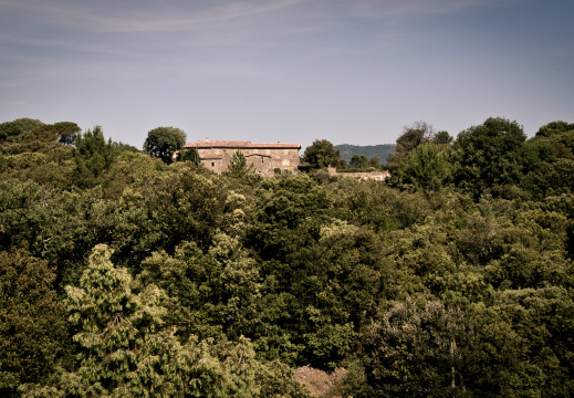 20140613 DSC 9414 1000