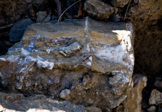 20140613 DSC 9415 1000