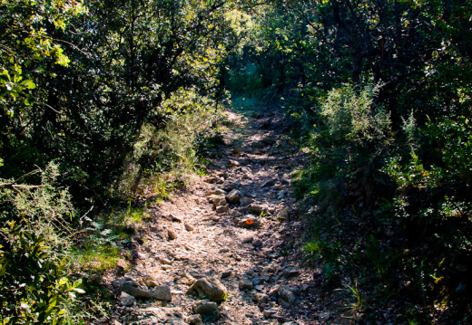 20140613 DSC 9419 1000