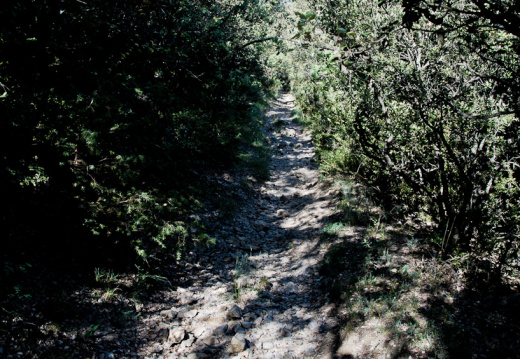 20140613 DSC 9420 1000