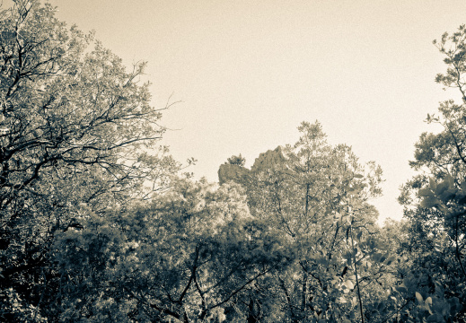 20140613 DSC 9424 1000