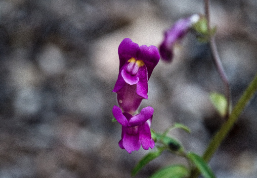 20140613 DSC 9433 1000