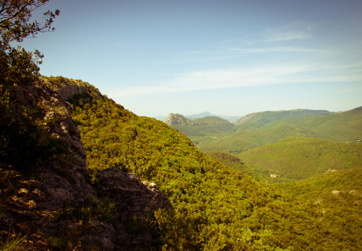 20140613 DSC 9434 1000