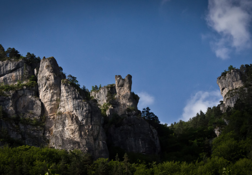 20140614 DSC 9555 1000