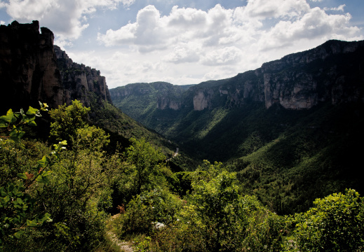 20140614 DSC 9633 1000