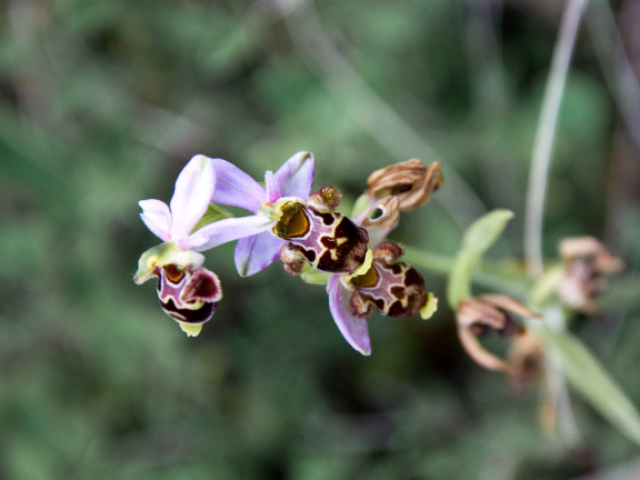 20140614 DSC 9648 1000