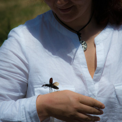 20140616 DSC 0143 1000