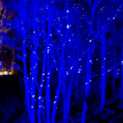 20151001 DSC 3767 1000