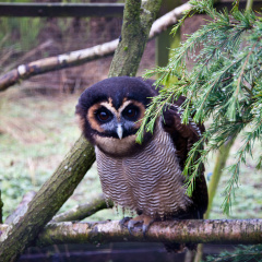 20130209 DSC 5010 1000