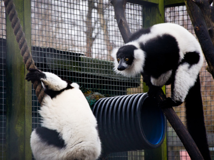 20130209 DSC 5063 1000