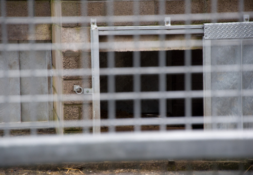 20130209 DSC 5271 1000