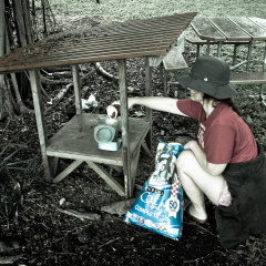 20131102 DSC 7088 1000