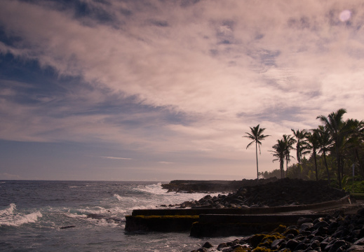 20131107 DSC 7215 1000