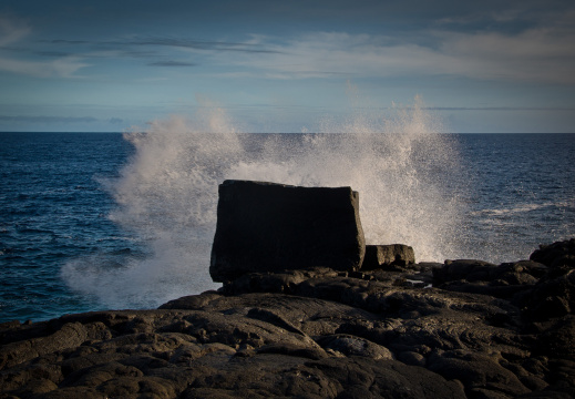 20131107 DSC 7260 1000