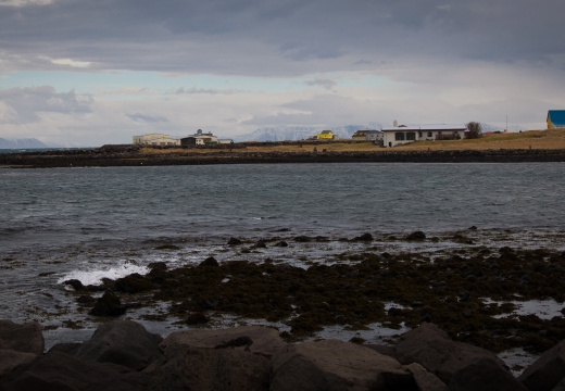 20140221 DSC 8164 1000