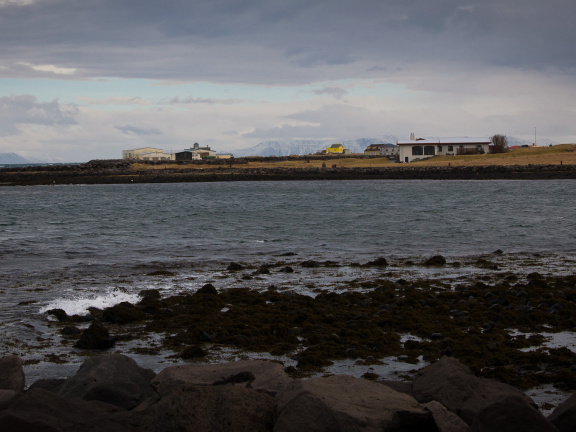 20140221 DSC 8164 1000