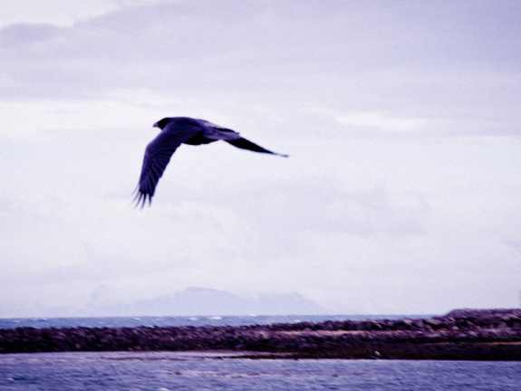 20140221 DSC 8165 1000