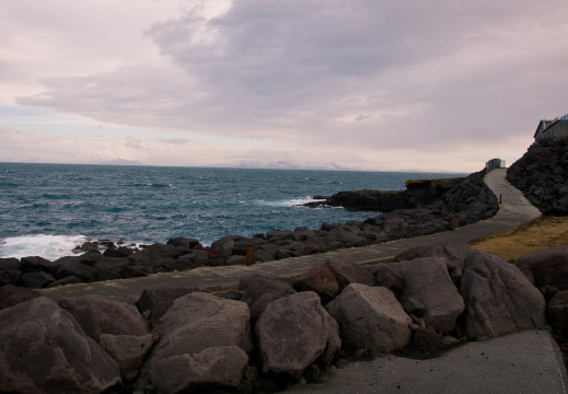 20140221 DSC 8192 1000