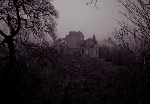 20130111 DSC 4863 1000